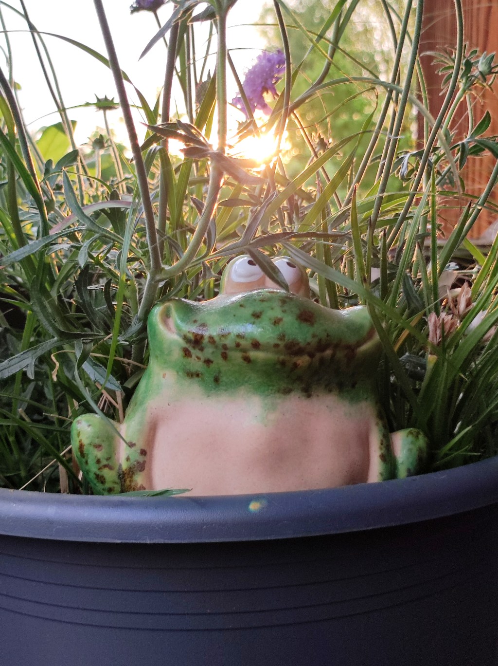 Herzschnuppen – Wenn das Herz Sternschnuppen&nbsp;wirft